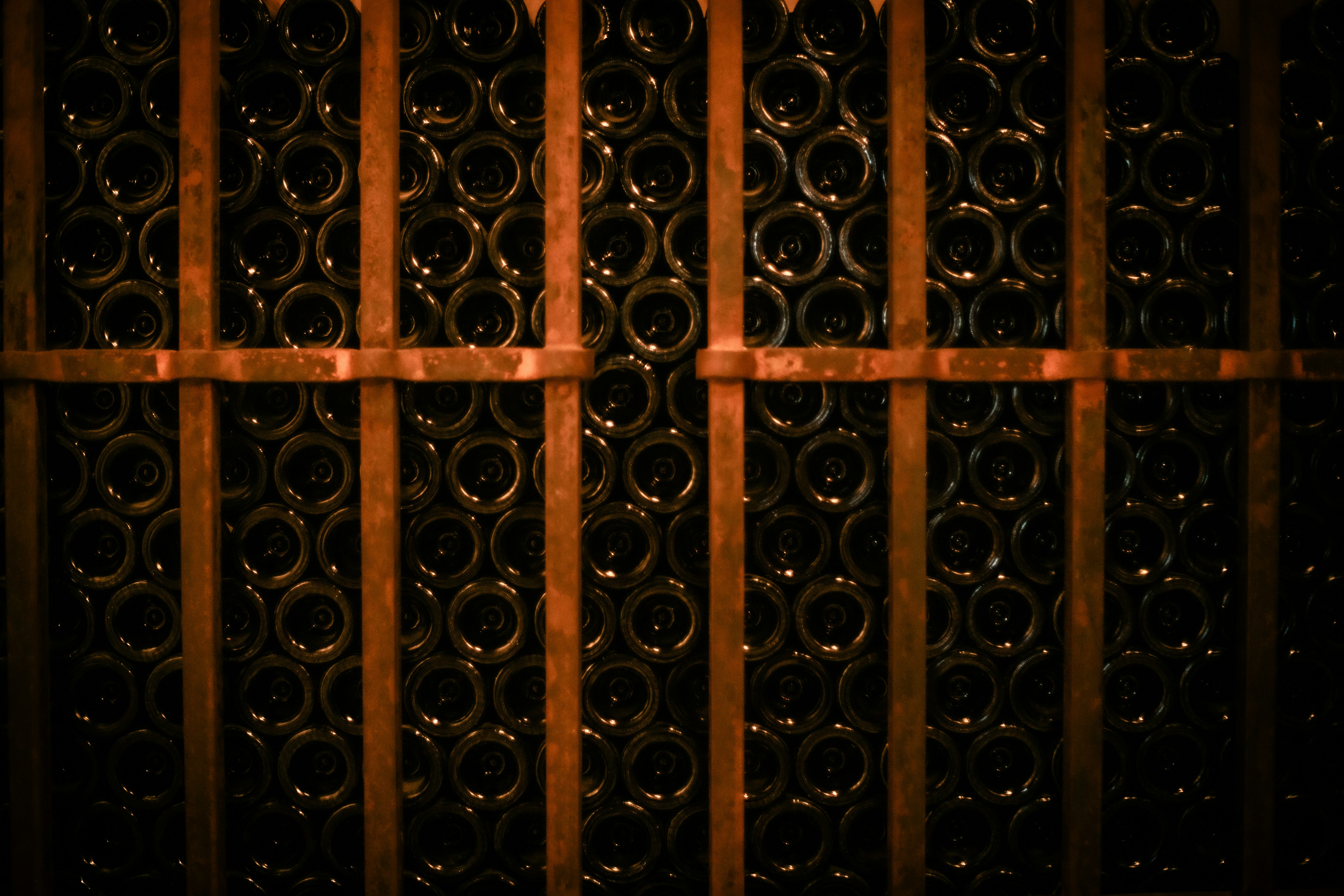 South River Vineyard