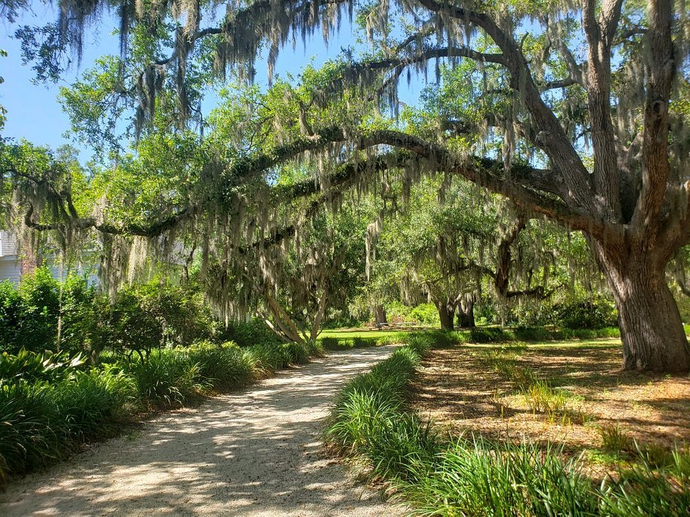 Coastal Discovery Museum